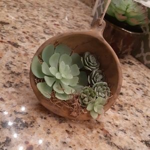 Handmade ceramic hanging faux succulent planter